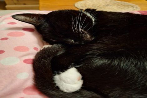 Photo of property in 57a David Crescent, Karori, Wellington, 6012