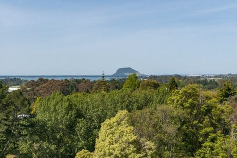 Photo of property in 140a Minden Road, Minden, Tauranga, 3176