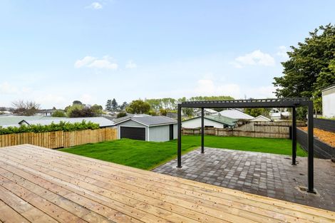 Photo of property in 17 Hinau Street, Maeroa, Hamilton, 3200