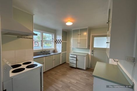 Photo of property in 45 Power Street, Levin, 5510