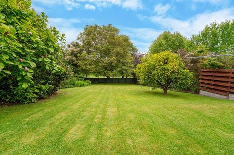 Photo of property in 21 Hatton Street, West End, Timaru, 7910