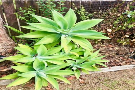 Photo of property in 104 Aeroview Drive, Beach Haven, Auckland, 0626