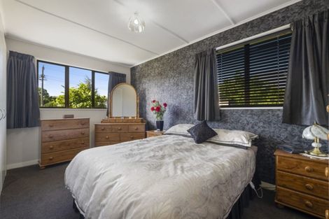 Photo of property in 20 Matau Street, Alexandra, 9320