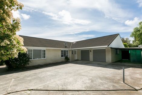Photo of property in 49 Reeve Drive, Havelock North, 4130