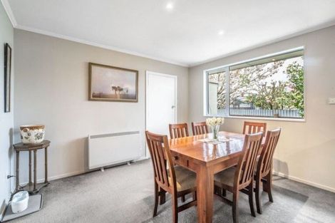 Photo of property in 59 Hillary Street, Winton, 9720