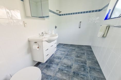 Photo of property in 47 Limbrick Street, Terrace End, Palmerston North, 4410