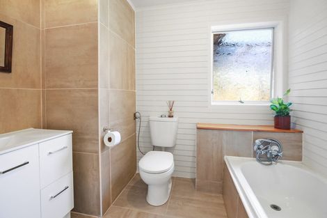 Photo of property in 29 Wymer Terrace, Chartwell, Hamilton, 3210