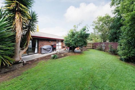 Photo of property in 138 Winchester Street, Ashhurst, 4810