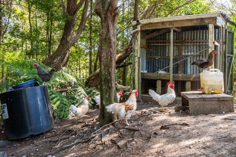 Photo of property in 202 Albany Heights Road, Albany Heights, Albany, 0792
