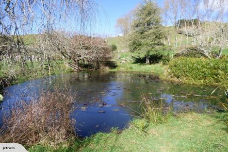 Photo of property in 1047 Wairehi Road, Wharepuhunga, Te Awamutu, 3874