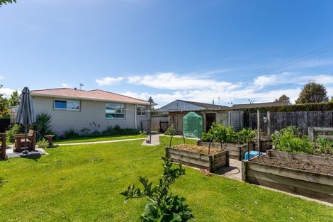 Photo of property in 29 Lucas Street, Riversdale, Blenheim, 7201