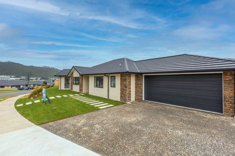 Photo of property in 123 John Burke Drive, Aotea, Porirua, 5024