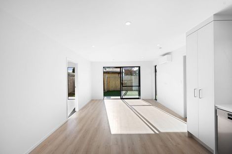 Photo of property in 17 Fend Street, Chartwell, Hamilton, 3210