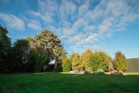 Photo of property in 101 Mulgrave Street, Ashhurst, 4810