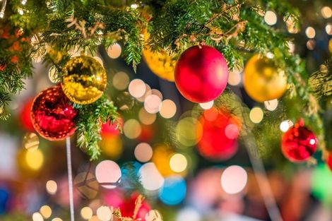 Photo of property in 44a Baird Street, Howick, Auckland, 2014