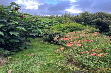 Photo of property in 46 Corbetts Road, Manakau, Otaki, 5583