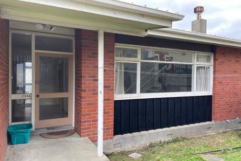 Photo of property in 1/239 Adelaide Road, Newtown, Wellington, 6021