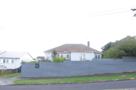 Photo of property in 17 Beagle Avenue, Mount Albert, Auckland, 1025