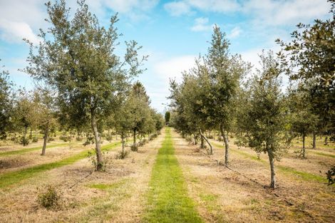 Photo of property in 271 Mystery Creek Road, Ohaupo, 3881