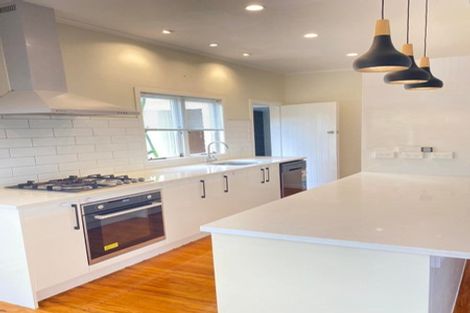 Photo of property in 115 Ireland Road, Mount Wellington, Auckland, 1060