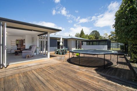 Photo of property in 1 Violet Street, Waihi, 3610