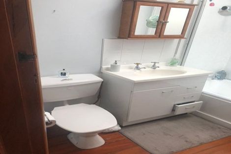 Photo of property in 19 Priscilla Crescent, Mornington, Wellington, 6021