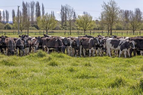 Photo of property in 585 Coutts Island Road, Coutts Island, Christchurch, 7670