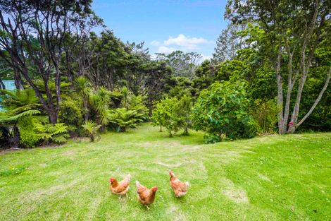 Photo of property in 43 Mcentee Road, Waitakere, Auckland, 0816