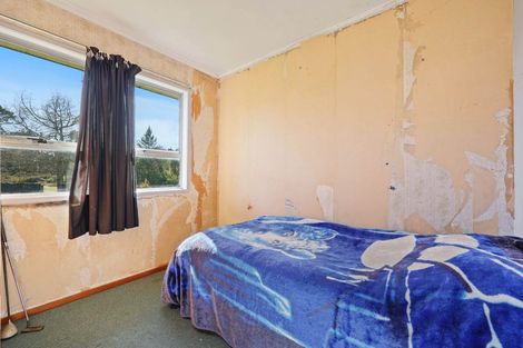 Photo of property in 39 Daytona Road, Henderson, Auckland, 0610