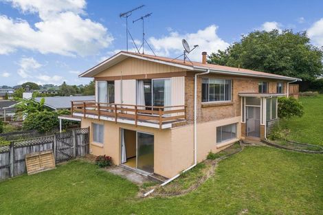 Photo of property in 12 Thornton Street, Putaruru, 3411