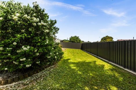 Photo of property in 47 Ryan Crescent, Greenmeadows, Napier, 4112