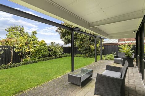 Photo of property in 101a Te Kawa Road, Greenlane, Auckland, 1061