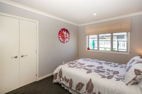 Photo of property in 3 Olive Court, Witherlea, Blenheim, 7201