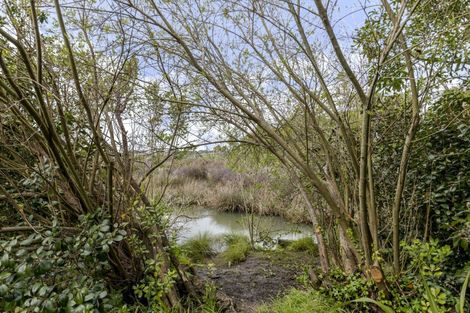 Photo of property in 116 Centennial Avenue, Waitara, 4320