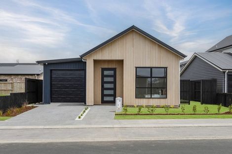 Photo of property in 13 Guillaume Street, Chartwell, 3210