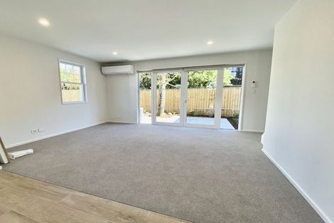 Photo of property in 3/119 Hastings Street East, Sydenham, Christchurch, 8023