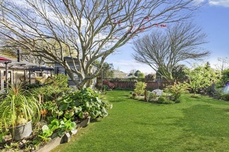 Photo of property in 74 Burwood Road, Matamata, 3400