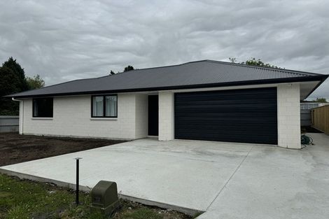 Photo of property in 46a Grey Street, Marton, 4710