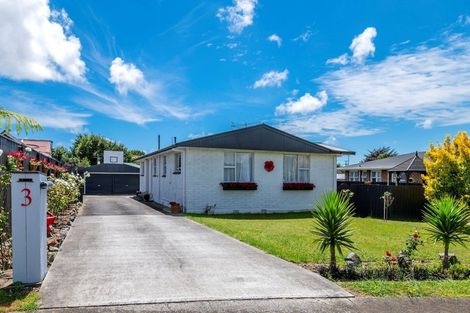 Photo of property in 3 Cardiff Street, Levin, 5510