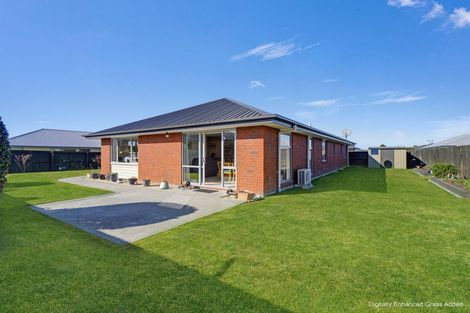 Photo of property in 46 Cassino Street, Rangiora, 7400