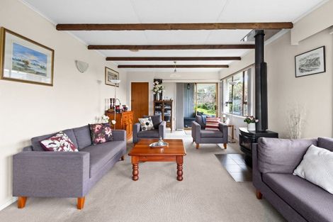 Photo of property in 24 Tokomaru Drive, Havelock North, 4130