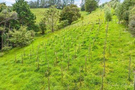 Photo of property in 124 Wearmouth Road, Paparoa, 0571