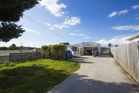 Photo of property in 109 Panorama Road, Mount Wellington, Auckland, 1060
