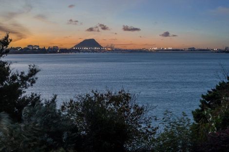 Photo of property in 49 Vine Avenue, Maungatapu, Tauranga, 3112