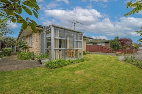 Photo of property in 117a Roy Street, Palmerston North, 4410