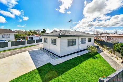 Photo of property in 60 Wakefield Road, Favona, Auckland, 2024