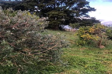 Photo of property in 110a Ruebe Road, Buckland, Pukekohe, 2677