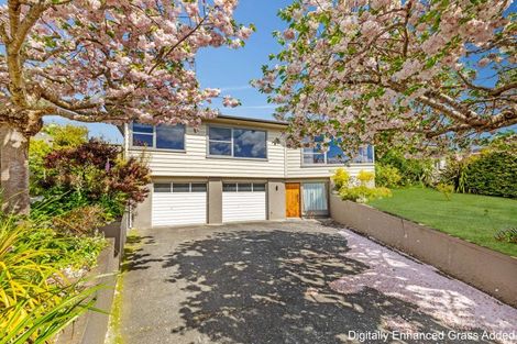 Photo of property in 38 Winston Avenue, Hokowhitu, Palmerston North, 4410