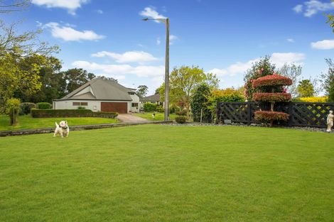 Photo of property in 16 Willow Grove, Morrinsville, 3300