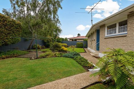 Photo of property in 51 Elwyn Crescent, Green Island, Dunedin, 9018